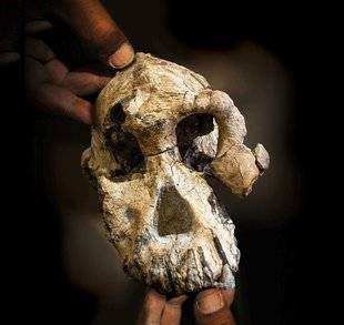 Science & Vie 1226 VOICI LE CRÂNE DU PLUS ÂGÉ DES AUSTRALOPITHÈQUES