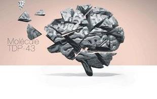 Science & Vie 1226 Elle explose Alzheimer