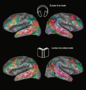 Science & Vie 1226 LIRE UN TEXTE OU L'ÉCOUTER, C'EST PAREIL POUR LE CERVEAU