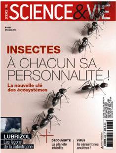 Science & Vie 1227 Catastrophique cas d'école