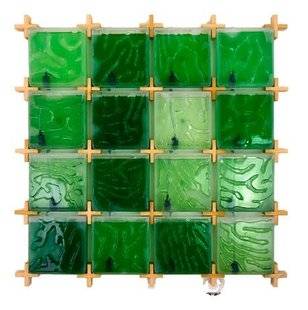 Science & Vie 1227 Un kit de micro-algues pour les repas