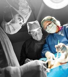 Science & Vie 1228 Les césariennes "de confort" pourraient nuire à l'enfant