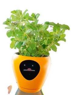Science & Vie 1228 Un pot expressif pour surveiller vos plantes