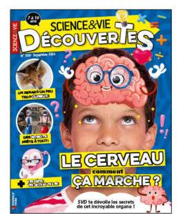 Science & Vie 1284 PLONGÉE DANS LE CERVEAU HUMAIN