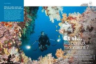 Science & Vie 1293 LES CORAUX BLANCHISSENT COMME JAMAIS