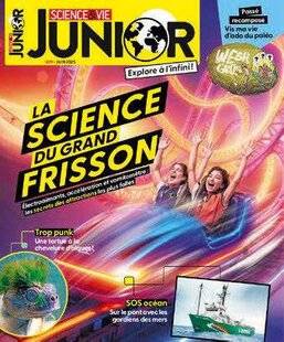 Science & Vie 1293 ÇA VA DÉCOIFFER !