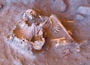 Science & Vie 1293 UNE POPULATION ISOLÉE VIVAIT DANS LE SAHARA VERT