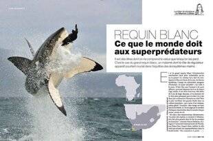 Science & Vie 1294 LE PLUS SUPER DES SUPERPRÉDATEURS