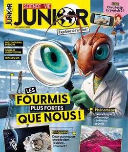 Science & Vie 1294 FANTASTIQUES FOURMIS