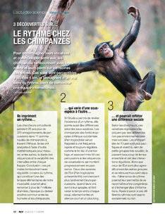 Science & Vie 1294 LE RYTHME CHEZ LES CHIMPANZÉS