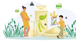 Science & Vie 1294 Faut-il réguler le soja dans l'alimentation ?