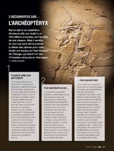 Science & Vie 1295 L'ARCHÉOPTÉRYX