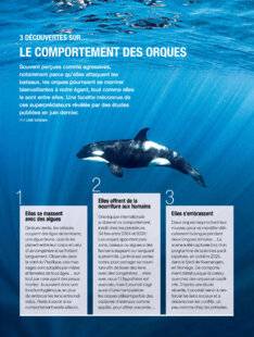 Science & Vie 1296 LE COMPORTEMENT DES ORQUES