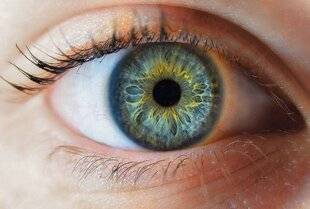 Science & Vie 1296 Changer la couleur de ses yeux par chirurgie n'est pas sans risque