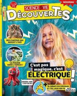 Science & Vie 1297 ÉLECTROCHOC !