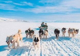 Science & Vie 1297 L'ADN DES CHIENS RÉÉCRIT L'HISTOIRE DES INUITS