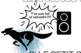 Science & Vie 1297 SI LE PETIT CHAPERON ROUGE AVAIT SU…