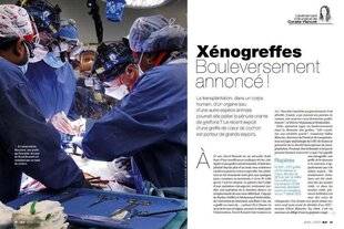Science & Vie 1298 XÉNOGREFFES : LA COURSE S'ACCÉLÈRE