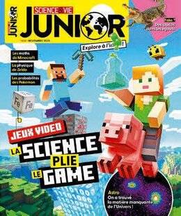 Science & Vie 1298 LES JEUX VIDÉO RAMÈNENT LEUR SCIENCE