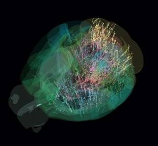 Science & Vie 1298 UNE PRISE DE DÉCISION MOBILISE DES ZONES PARTOUT DANS LE CERVEAU