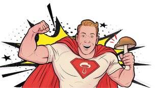 Science & Vie 1298 Champignons “adaptogènes” : panacée ou arnaque ?