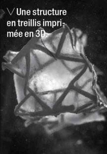 Science & Vie 1298 VOICI UN PATCH BIODÉGRADABLE POUR LÉSIONS CARDIAQUES