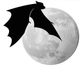 Science & Vie 1298 C'EST LA TERRE QUI FAIT ROUILLER LA LUNE