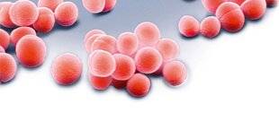 Science & Vie 1298 UNE SCIENCE EN PLEINE RÉVOLUTION