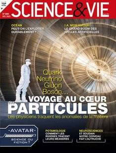 Science & Vie 1299 Élémentaire, mon cher Quark