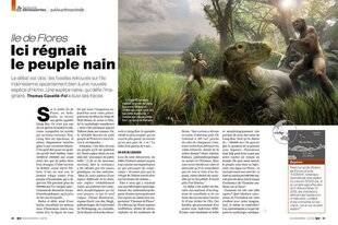 Science & Vie 1299 LA CROISSANCE D'HOMO FLORESIENSIS FREINAIT DURANT L'ENFANCE