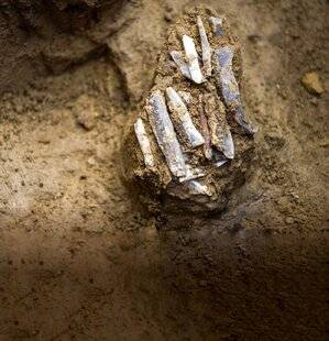 Science & Vie 1299 VOICI LE PLUS ANCIEN KIT D'OUTILS DE CHASSEUR-CUEILLEUR