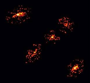 Science & Vie 1299 ON A DÉCOUVERT UNE CROIX D'EINSTEIN À CINQ POINTS