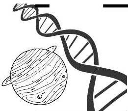 Science & Vie 1299 LES KÉNYANS SONT ADAPTÉS À LA CHALEUR