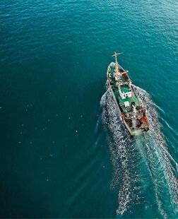 Science & Vie 1299 Laisser aux espèces le temps de se reconstituer