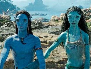 Science & Vie 1299 UNE MÊME ESPÈCE PEUT-ELLE AVOIR DES PHÉNOTYPES SI DIFFÉRENTS ?