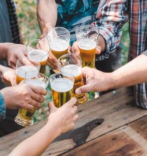 Science & Vie 1299 Les buveurs de bière attirent davantage les moustiques