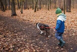 Science & Vie 1299 L'adoption d'un chiot n'est pas à prendre à la légère