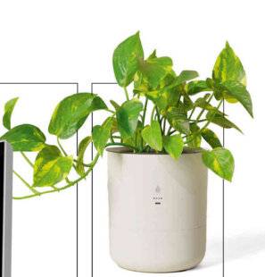 Science & Vie 1299 Le pot de fleurs intelligent