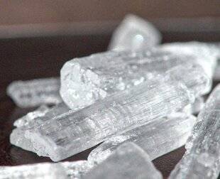 Science & Vie 1299 Pourquoi la menthe est-elle si rafraîchissante ?