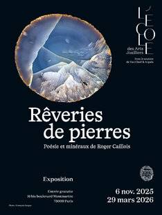 Science & Vie 1301 L'ECOLE des Arts Joailliers