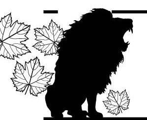 Science & Vie 1301 LE LION POUSSE DEUX TYPES DE RUGISSEMENT