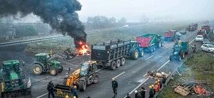 Science & Vie 1301 Le jour où un virus a enflammé le monde agricole français