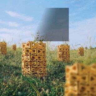 Science & Vie 1301 Des briques biodégradables protégeront les plantations