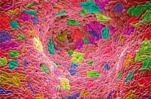 Science & Vie 1301 Pourquoi possède-t-on une odeur unique ?