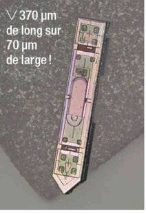 Science & Vie 1302 CET IMPLANT NEURONAL EST PLUS PETIT QU'UN GRAIN DE SEL