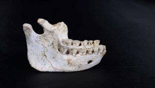 Science & Vie 1302 DE NOUVEAUX FOSSILES ÉCLAIRENT SUR LES ORIGINES D' HOMO SAPIENS