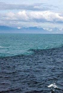 Science & Vie 1302 Pourquoi l'océan est-il parfois de deux couleurs distinctes ?