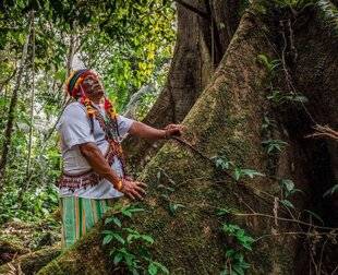 Science & Vie 1303 ENVIRONNEMENT : LES RAISONS D'ÊTRE OPTIMISTE