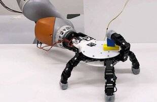 Science & Vie 1303 VOICI UNE VERSION AMÉLIORÉE DE LA MAIN