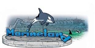 Science & Vie 1303 Que vont devenir les cétacés du parc Marineland ?